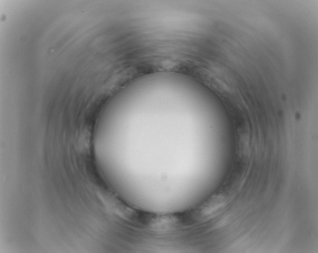 X0000089430274200707061351