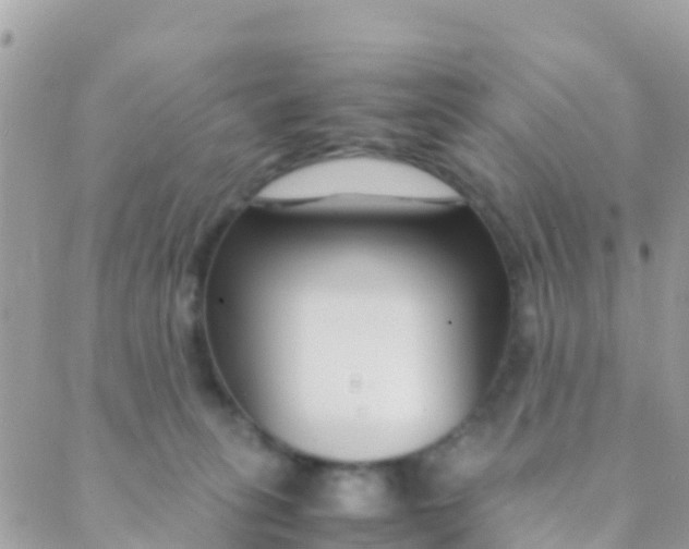 X0000089430275200707061351