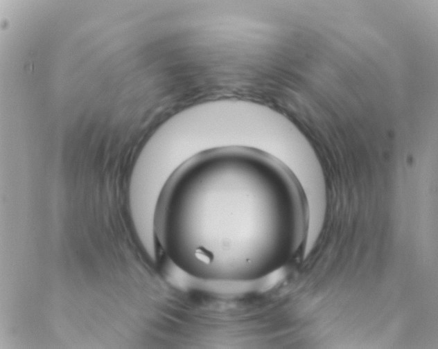 X0000089430276200707061351