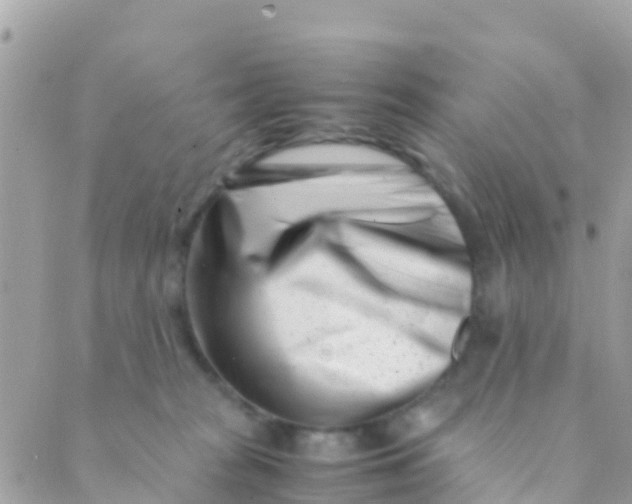 X0000089430277200707061351