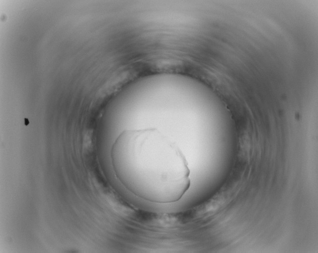 X0000089430278200707061351