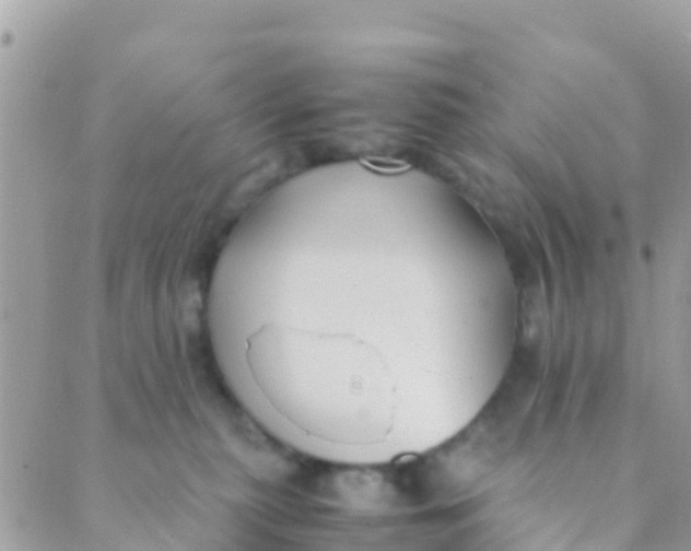 X0000089430279200707061351