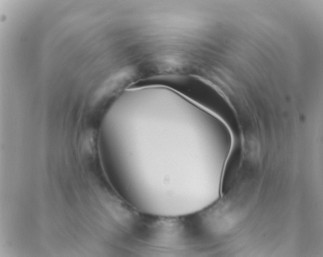 X0000089430280200707061351