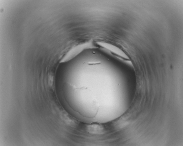 X0000089430281200707061351