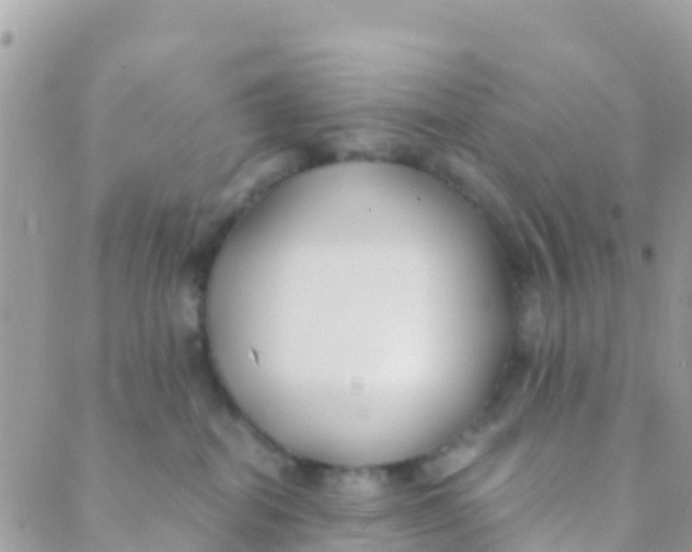 X0000089430282200707061351