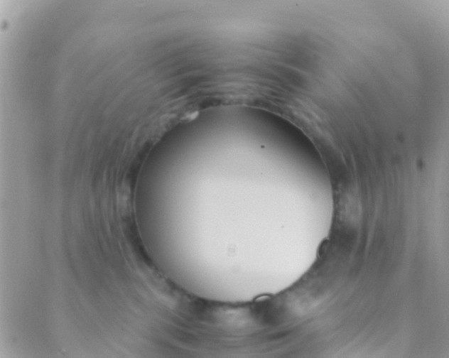 X0000089430283200707061351