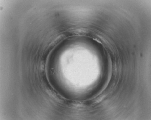 X0000089430284200707061351