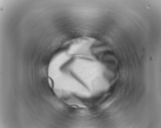 X0000089430286200707061351