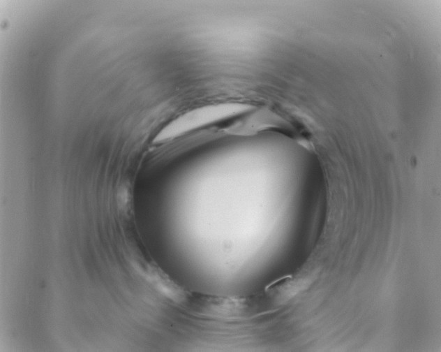 X0000089430288200707061351