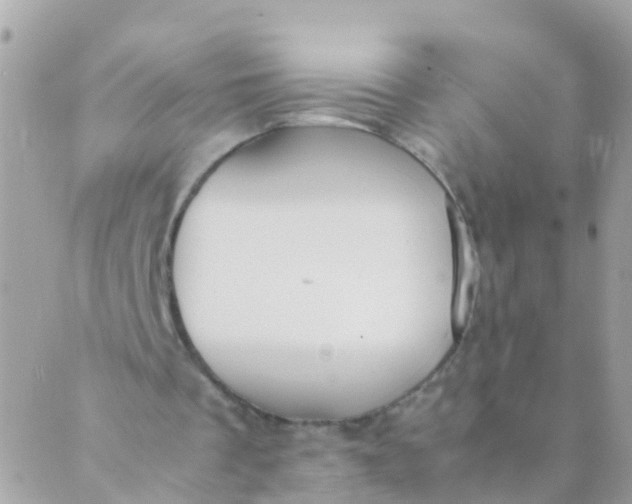 X0000089430289200707061350