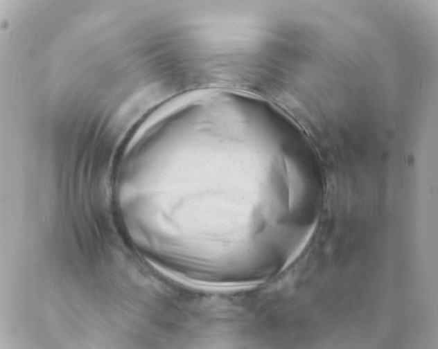 X0000089430290200707061350