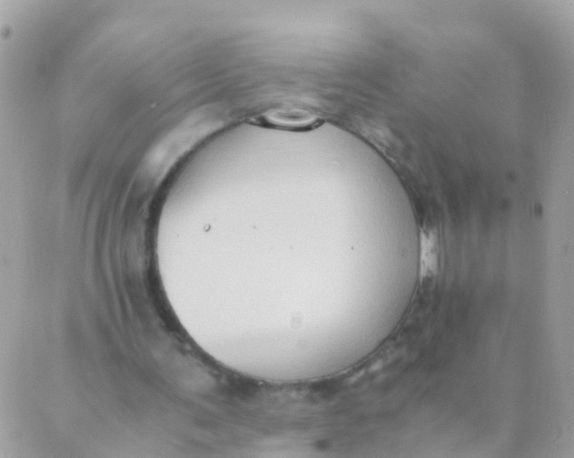 X0000089430291200707061350