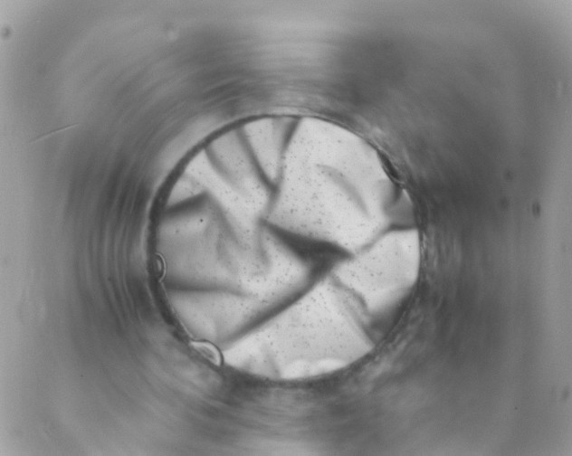 X0000089430292200707061350