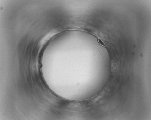 X0000089430294200707061350