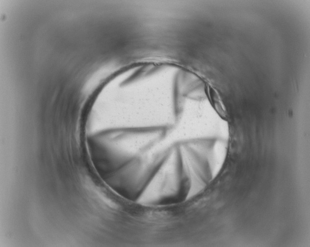 X0000089430296200707061350