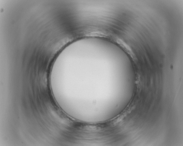 X0000089430298200707061350