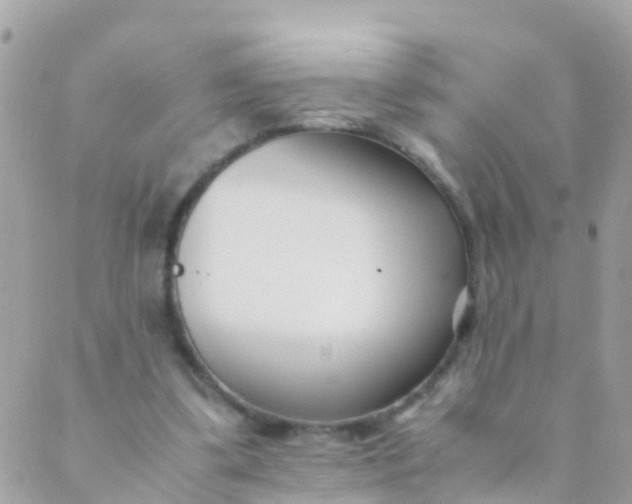 X0000089430299200707061350