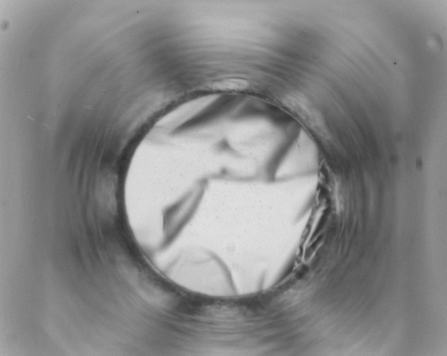 X0000089430300200707061350