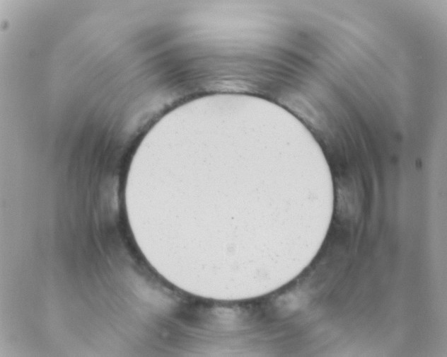 X0000089430302200707061350