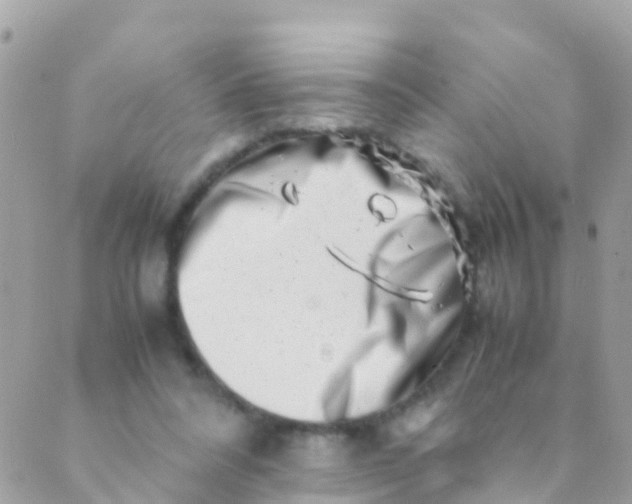 X0000089430304200707061350