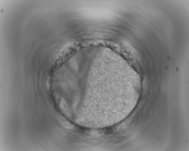 X0000089430305200707061350