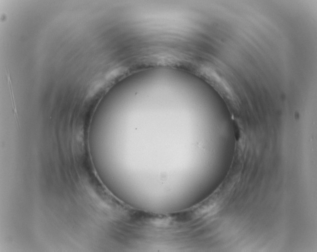 X0000089430306200707061350