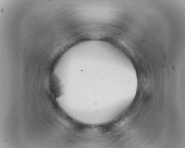 X0000089430307200707061350