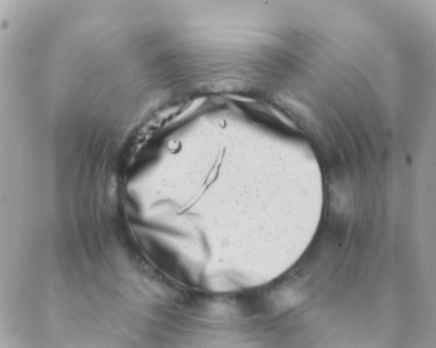 X0000089430308200707061350