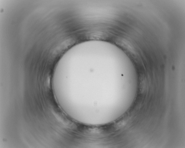 X0000089430310200707061350