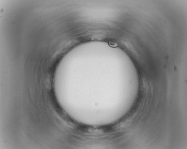 X0000089430311200707061350