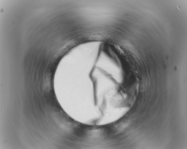 X0000089430312200707061350