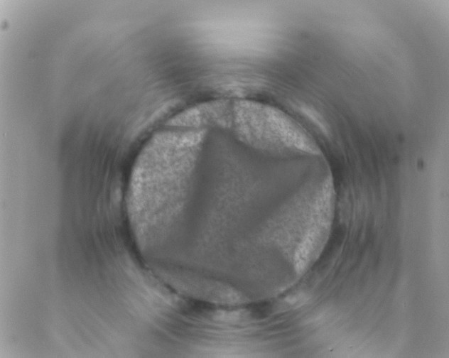 X0000089430314200707061350