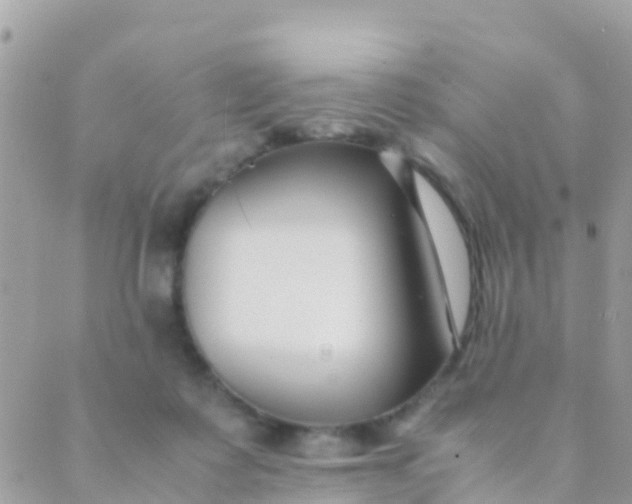 X0000089430315200707061350