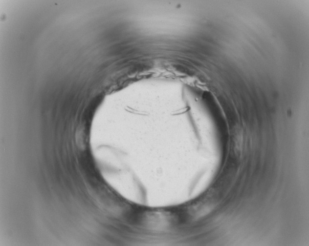 X0000089430316200707061350