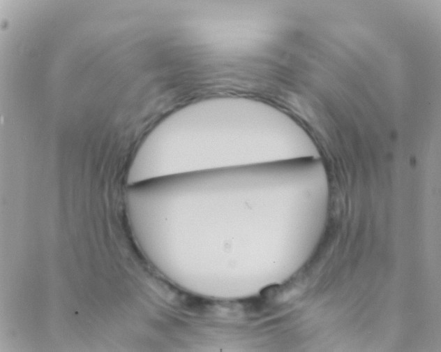 X0000089430317200707061350