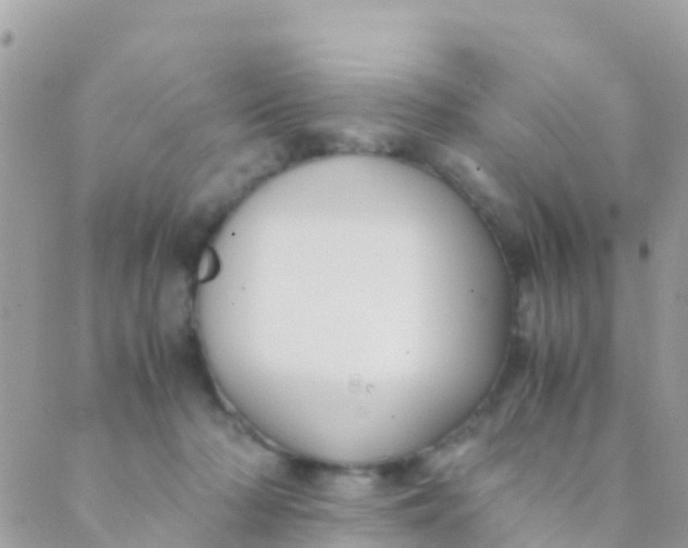 X0000089430318200707061350