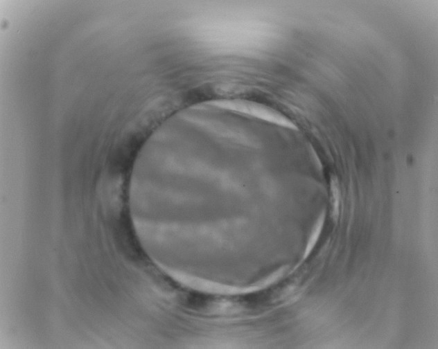 X0000089430319200707061350