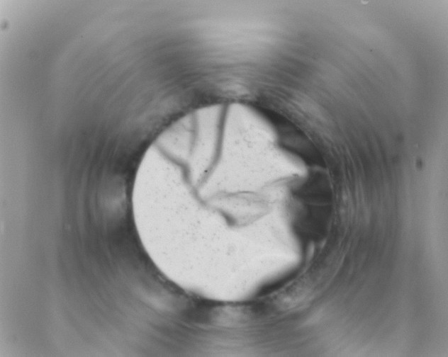 X0000089430320200707061350