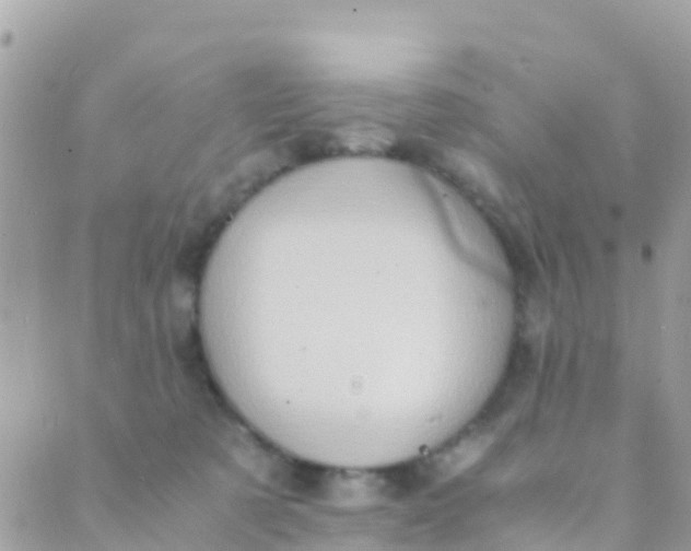 X0000089430321200707061350