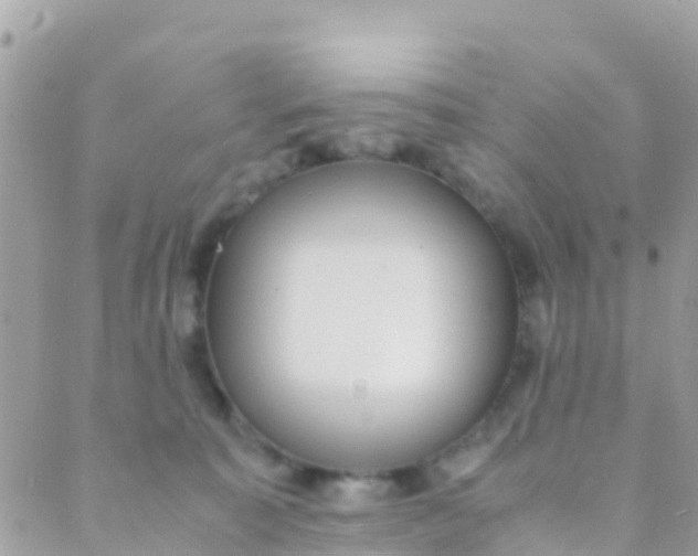 X0000089430323200707061350