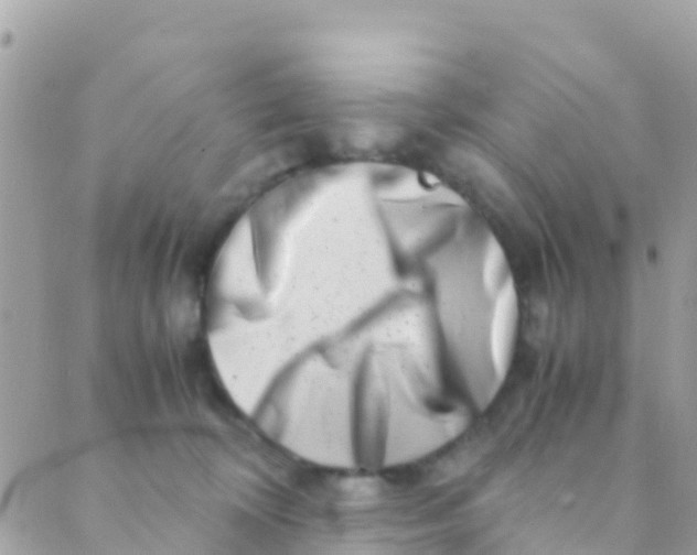 X0000089430324200707061350