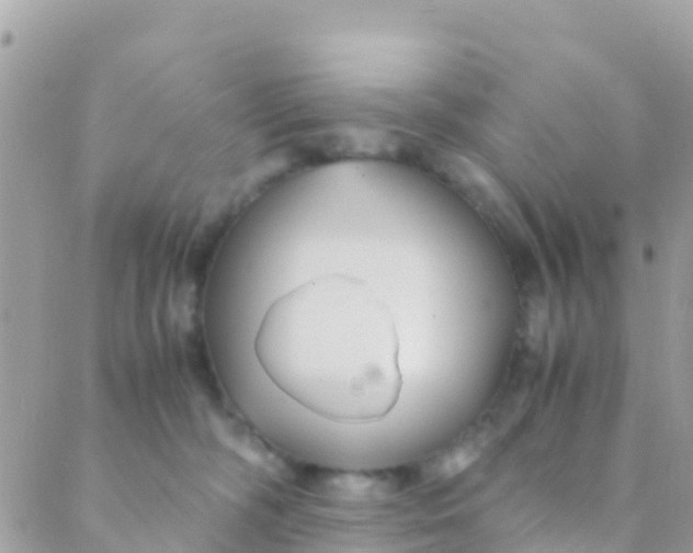 X0000089430326200707061350