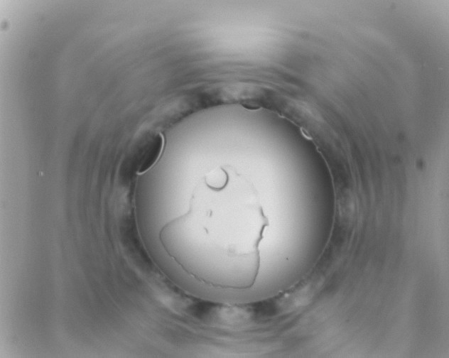 X0000089430327200707061350