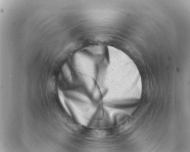 X0000089430328200707061350