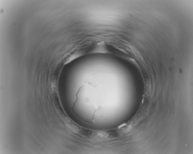 X0000089430329200707061350