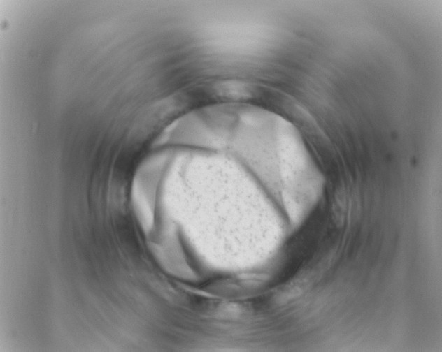 X0000089430330200707061350