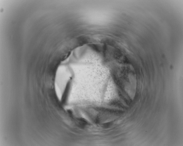 X0000089430331200707061350