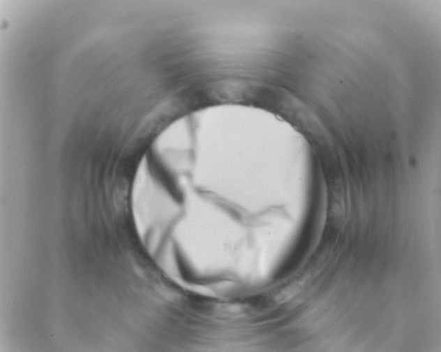 X0000089430332200707061350