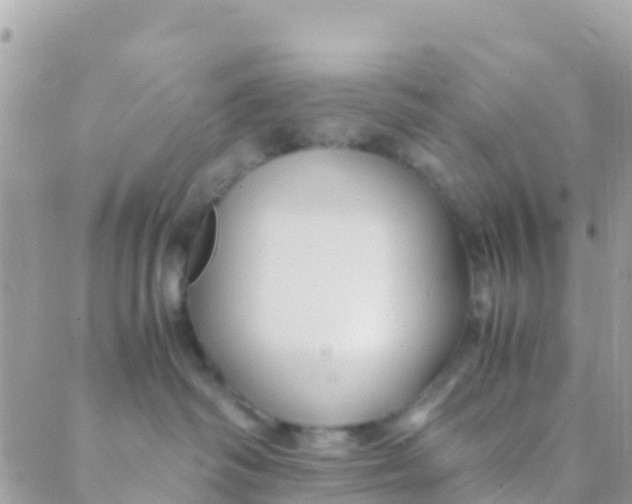 X0000089430334200707061350