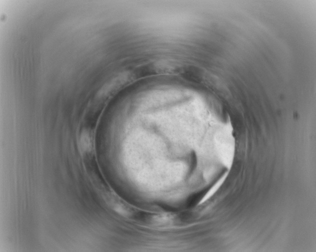 X0000089430335200707061350